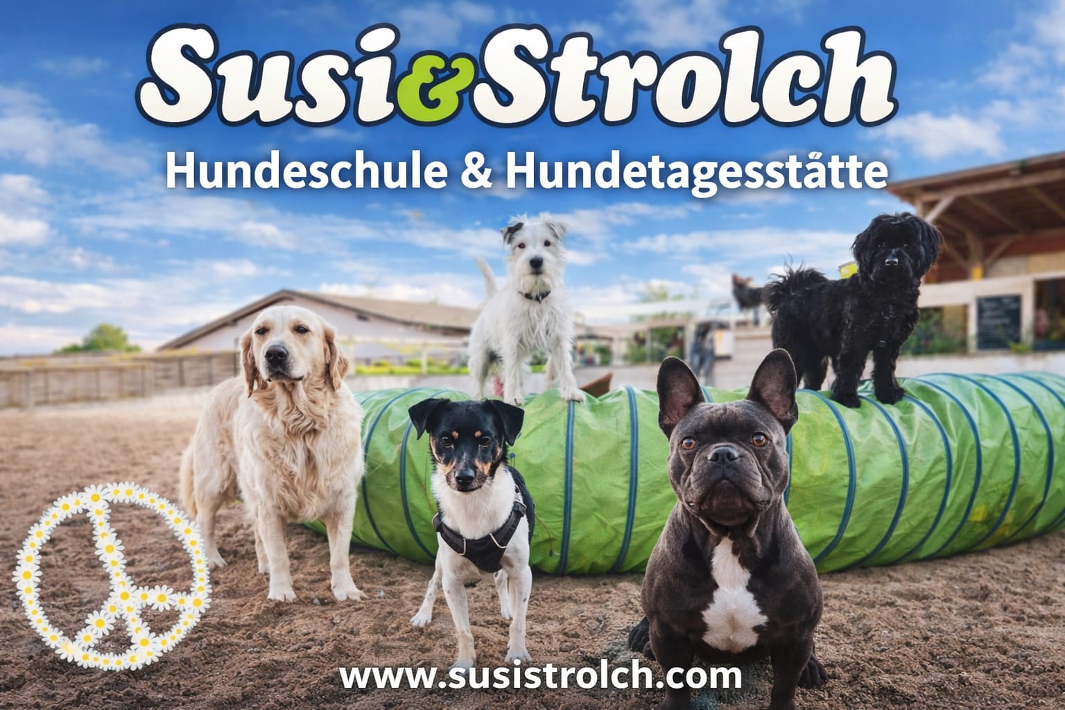 Hundekindergarten Susi und Strolch